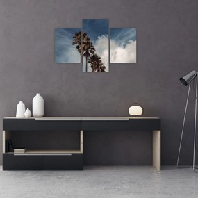 Kép - Pálma dráma (90x60 cm)