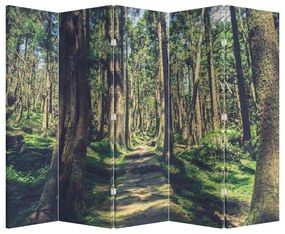 Paraván - Út a fák között (210x170 cm)