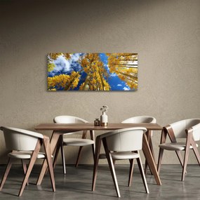 Kép - Aspen (120x50 cm)