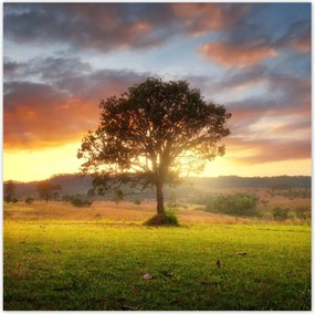 Poszterek 140x140 Varázslatos tájkép