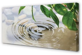 Canvas képek Water drop splash 120x60 cm