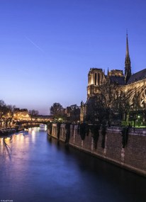 Poszter 20,5x28,4cm Notre-Dame de Paris éjszaka 2, Assaf Frank