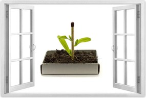 Poszterek 60x40 Zöld erő