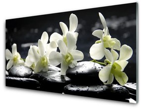 Üvegkép Stones virág növény 140x70 cm