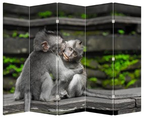 Paraván - majmok (210x170 cm)