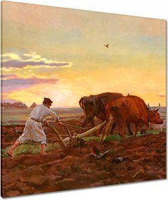 Vászonkép 80x80 Csongrád megyei falu