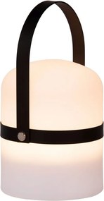 LUCIDE 06802-01-30 LITTLE Kültéri Dekorációs Lámpa Fehér, Fekete LED IP44