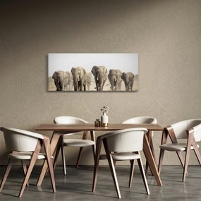 Kép - Elefántcsorda (120x50 cm)