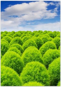 Poszterek 70x100 Zöld tekintet Völgy