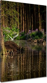 Festmények 80x120 Tájkép Látvány