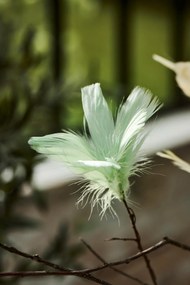 IB Laursen Dróton lógó toll FEATHER DECOR - több színben