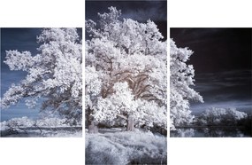 Kép - Hófehérke fa (90x60 cm)