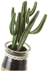 Műnövény szett 4 db-os (magasság 18 cm) Cactus – Casa Selección