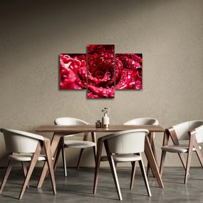 Vörös rózsa virágzata képe (90x60 cm)