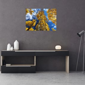 Üveg kép - Aspen (70x50 cm)
