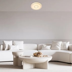 Rabalux 71117 - LED mennyezeti lámpa TAYTUM LED/25W/230V 3000K