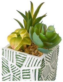 Műnövény szett 3 db-os (magasság 12 cm) Cactus – Casa Selección