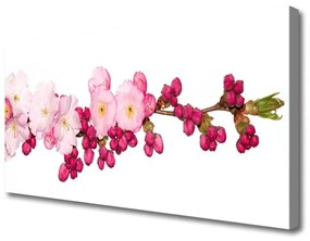 Vászonkép Cherry Blossom Twig 100x50 cm