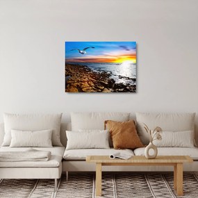 Üveg kép - Sirály repül a tengerpart felett (70x50 cm)