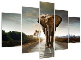 Elefánt képe (150x105 cm)