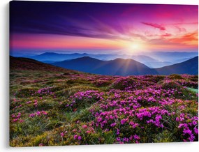 Kép - Hegyi virágzó táj (70x50 cm)