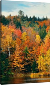 Vászonkép Színes Levelek Fák Ősz Természet 70x120 cm