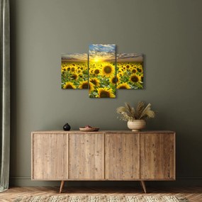 Kép - Napraforgók naplementében (90x60 cm)