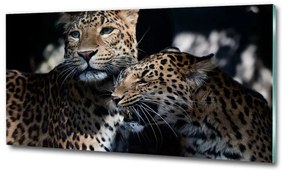 Üvegkép Két leopárd osh-109930645