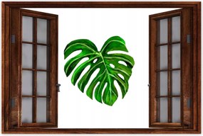 Poszterek 90x60 Monsera levél lyukas