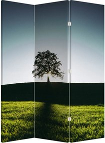Paraván - Fa (126x170 cm)
