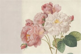 Fotótapéta Flizelin Dekoratív Hálószoba Romantikus rózsák 104x70