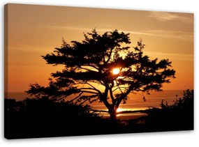 Gario Vászonkép Fák a tengerparton naplementében Méret: 60 x 40 cm