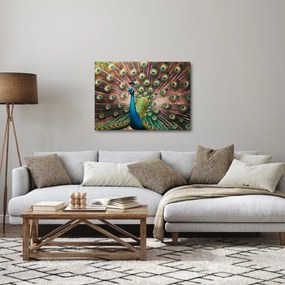 Kép - Páva (70x50 cm)