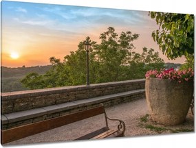 Vászonkép 120x80 Naplemente Virágok