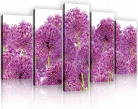 Vászonkép 100x60 Lila fokhagyma alium virágok természet frissesség tavasz nyár