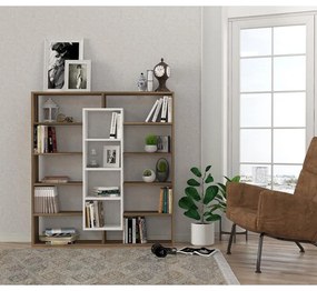 könyvespolc Ample - Walnut, White
