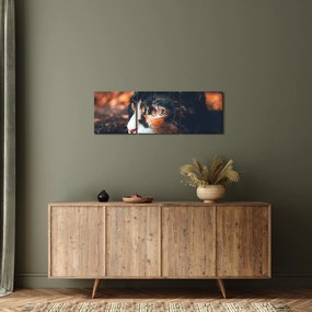 Kép - A macska látképe (órával) (90x30 cm)