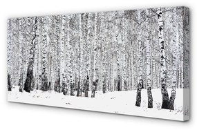 Canvas képek Téli nyírfák 140x70 cm