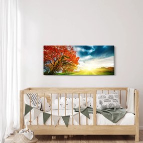 Napsütésben fürdő táj képe (120x50 cm)