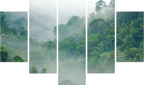 Kép - Reggeli köd (150x105 cm)