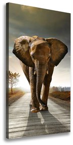 Vászonkép Séta elefánt ocv-25742331