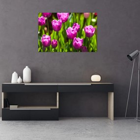 Tulipánok a réten képe (90x60 cm)