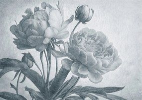 Fotótapéta Flizelin Dekoratív az irodába Virágos elegancia 208x146 Ragasztó