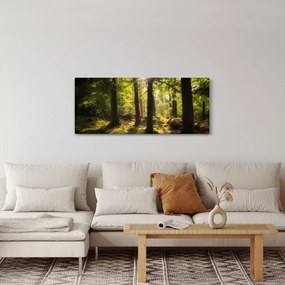 Egy álmodozó erdő képe (120x50 cm)