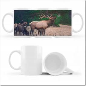 Fotó bögre Szarvas Erdő Tájkép