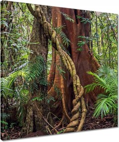 Vászonkép 50x50 Tájkép Látvány