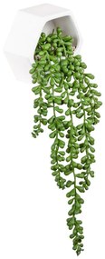 Műnövény, függő növény, kerámiában, 12,2 cm - REMPANTE
