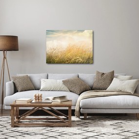 Kép - Mező ősszel (70x50 cm)