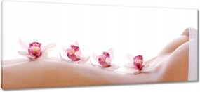 Képek 100x40 Pihenés a SPA-ban Orchideák