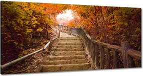 Képek 120x60 Őszi séta Lépcsők